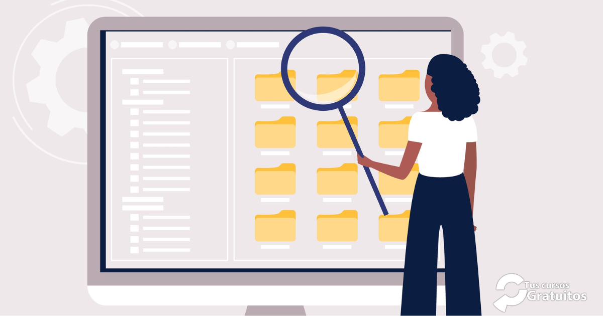 Técnico/a de Estudios y Licitaciones públicas