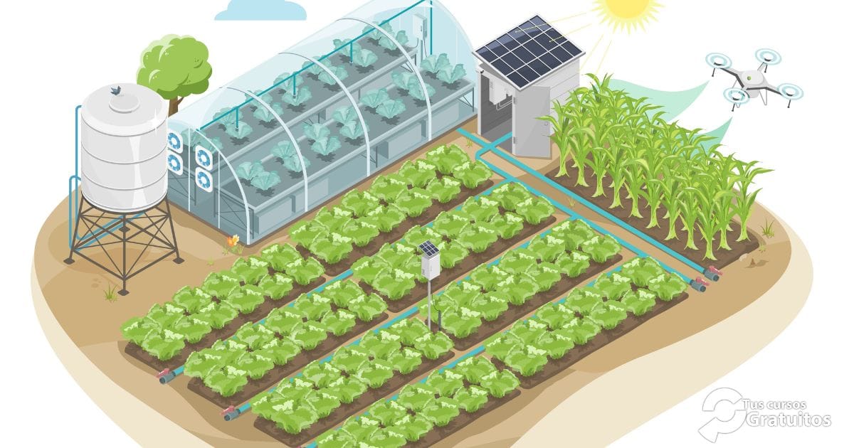 Defoin – 243420 – Implantación de sistemas de calidad alimentaria en la industria agroalimentaria