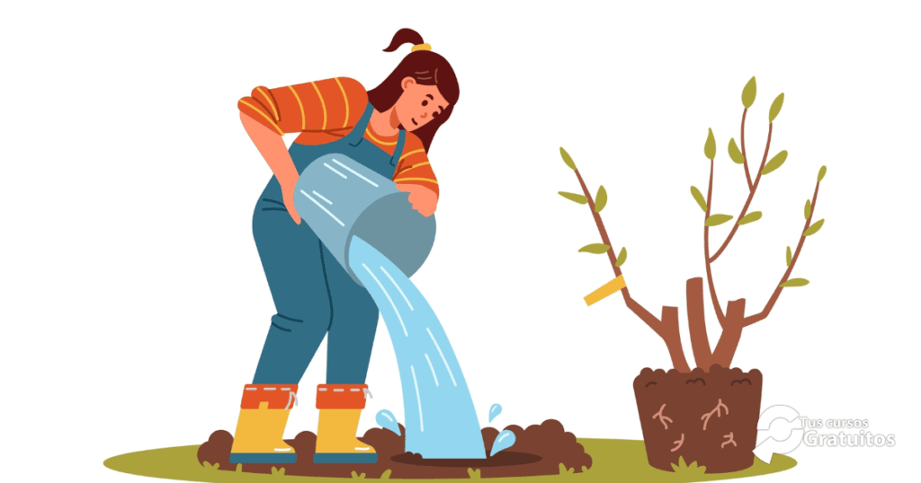 AGAJ004PO - Operaciones Generales De Jardinería
