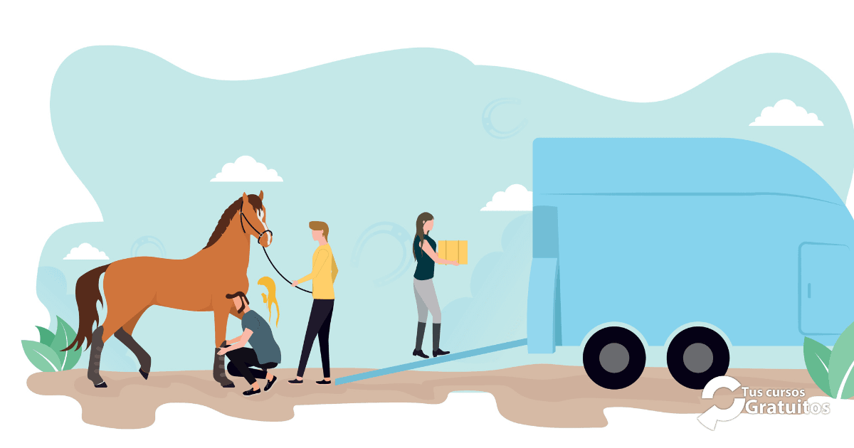 Aesrafor – 243311 – Bienestar Animal En El Transporte De Animales Vivos