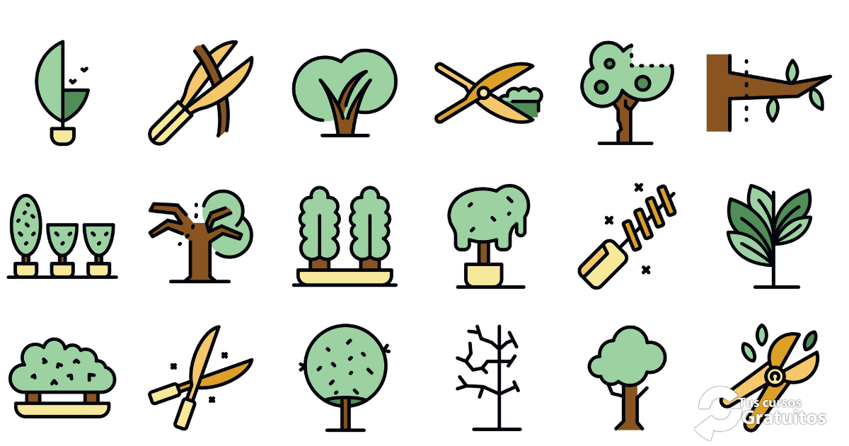 Consultora de Formación Valverde – 251106 – Técnicas de Poda