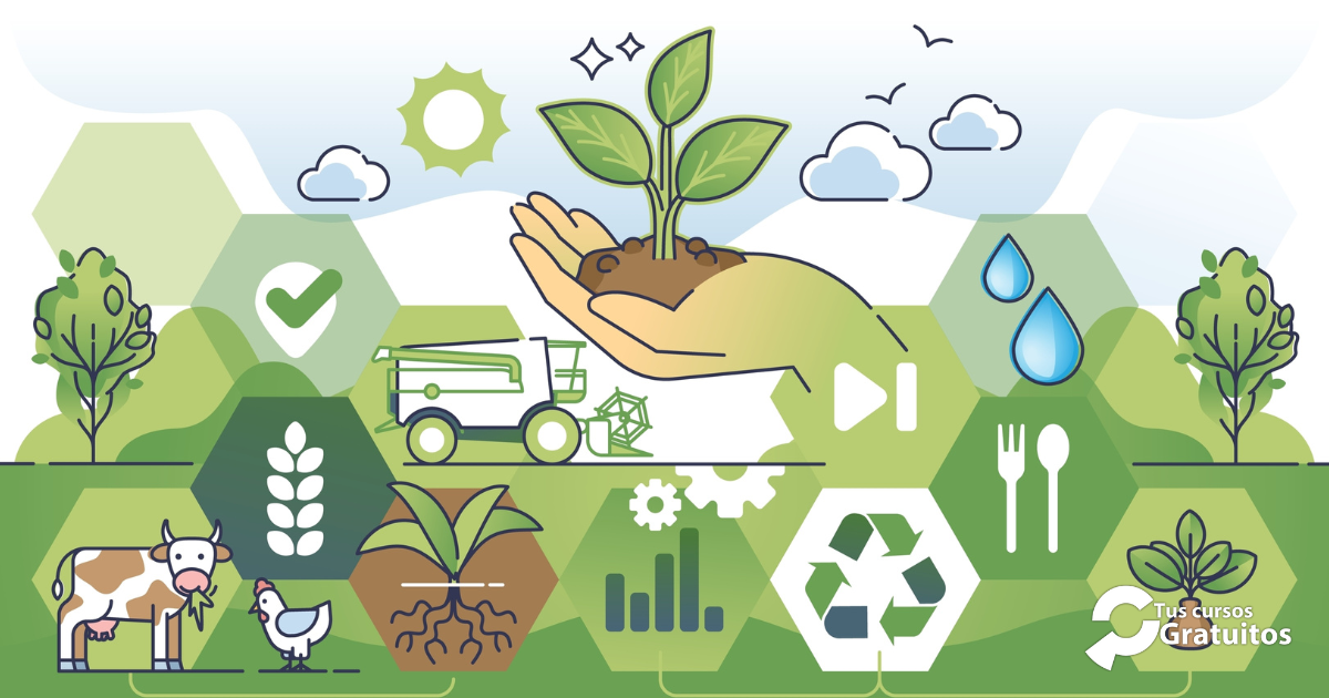 Consultora de Formación Valverde – 251110 – Usuario Profesional de Productos Fitosanitarios. Nivel Cualificado