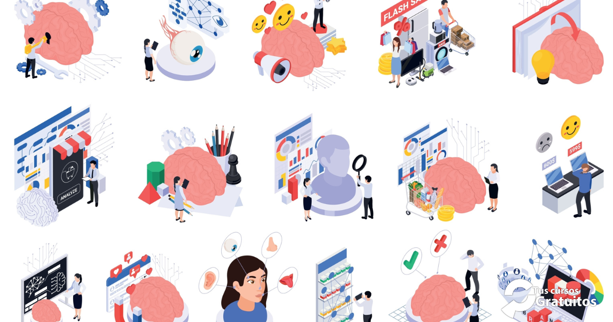 Alpe – 250976 – Neuromarketing