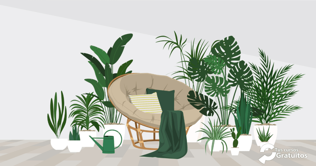 EOCB004PO - Interiorismo