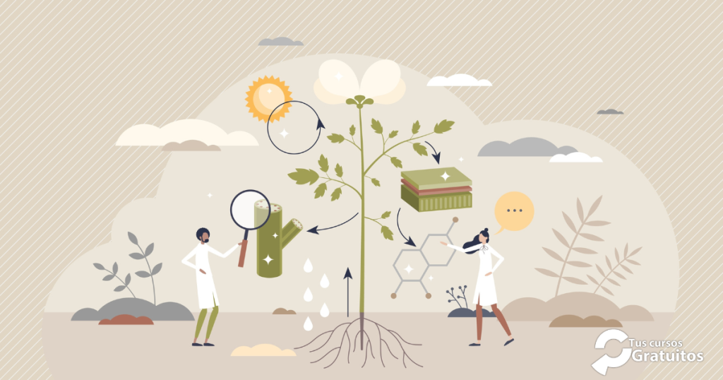 AGAJ014PO - Fitopatología