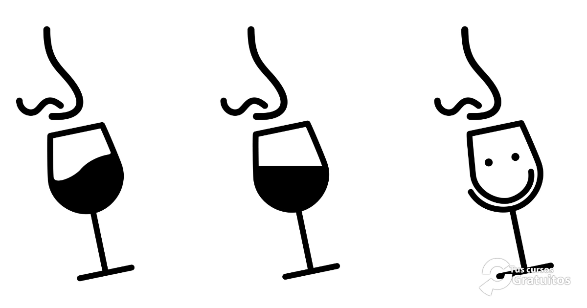 Reat – 255828 – Análisis Sensorial De Vinos