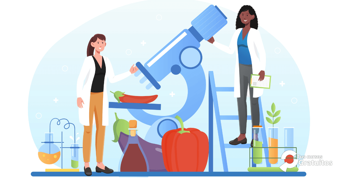 Reat – 260490 – Manipulador De Alimentos Y Seguridad Alimentaria