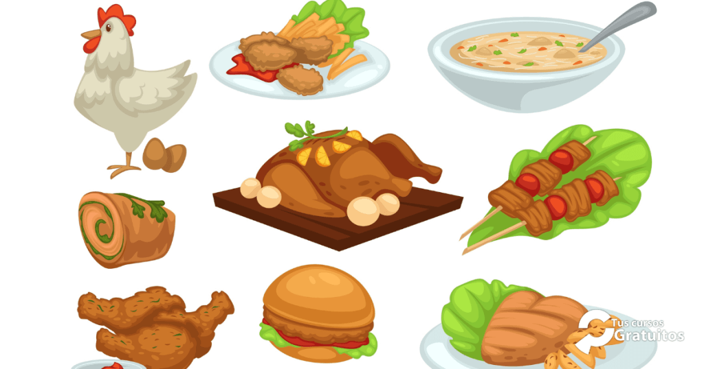 HOTR06 - Preparaciones Culinarias A Base De Carnes