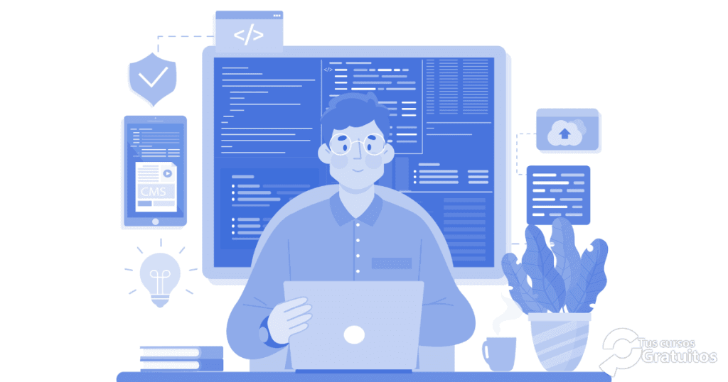 Desarrollador de Software