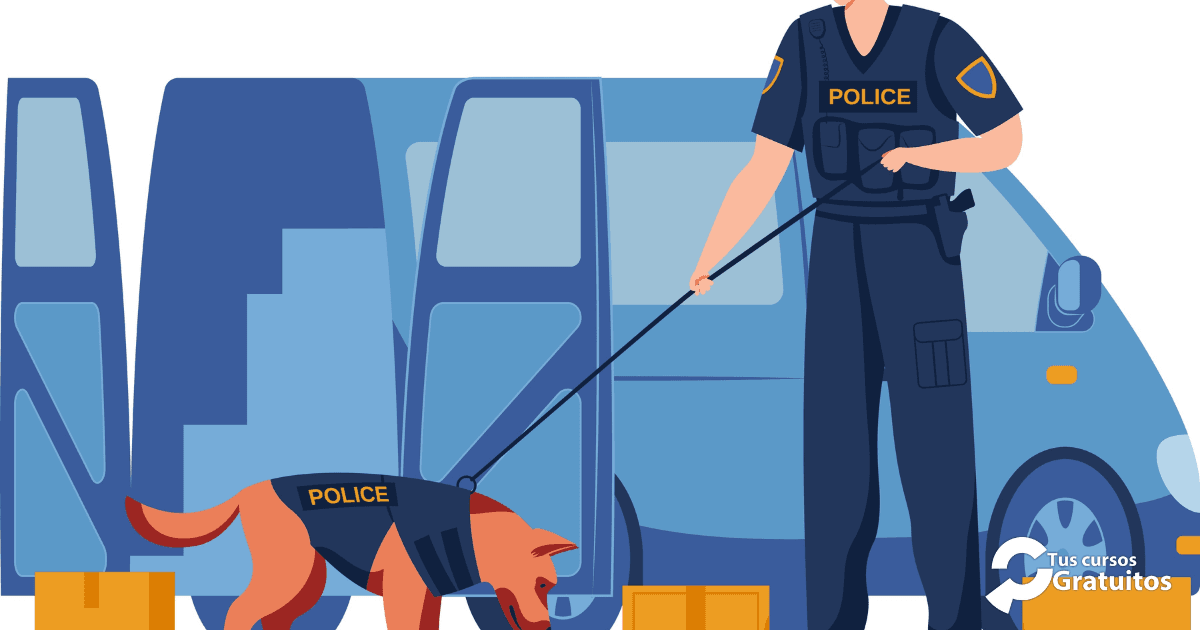 Defoin – 255921 – F.E.V.S. Vigilancia con perros