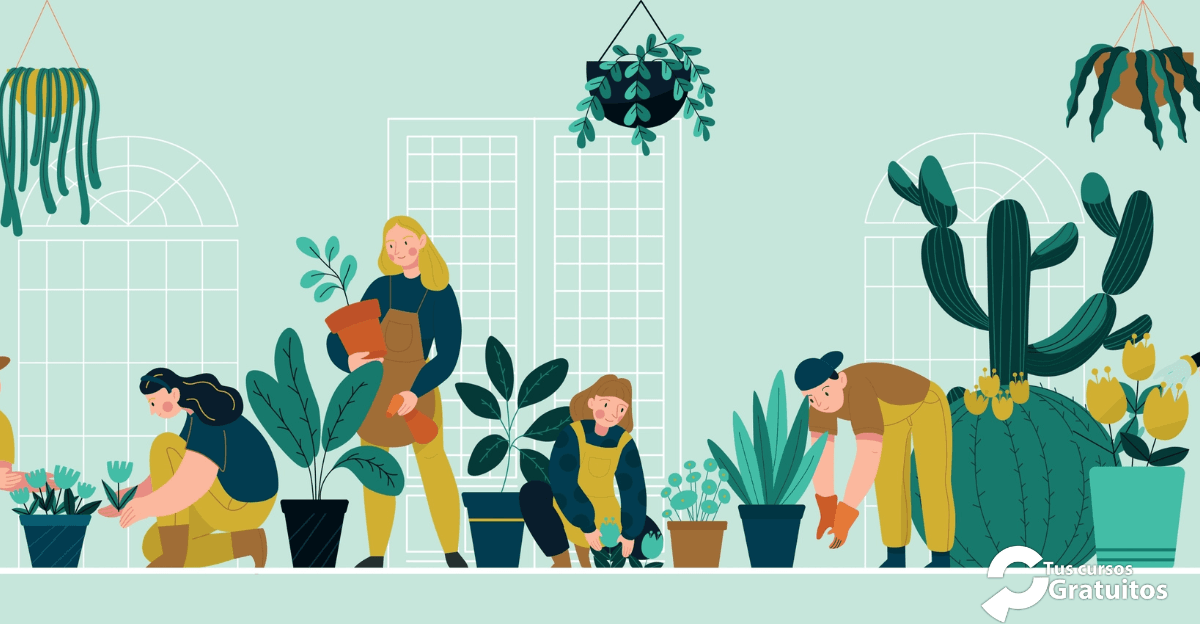 FAUCA – 251160 – Actividades Aux En Viveros, Jardines Y Centros De Jardinería