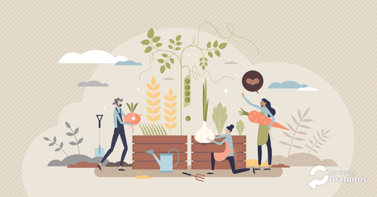 Aesrafor – 253567 – Agricultura ecológica en la explotación agrícola