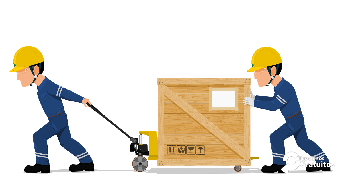 Defoin – 240168 – Manipulación y movimientos con transpalés y carretillas de mano