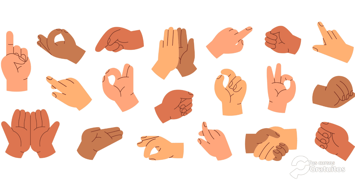 SCF – 240435 –  Lengua de signos española