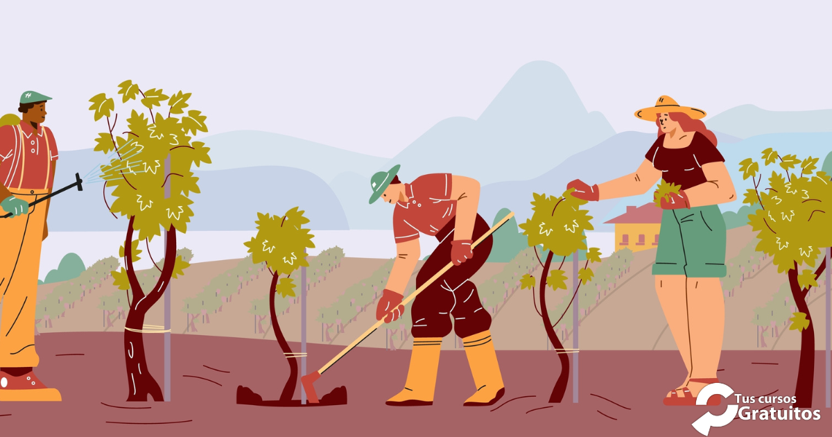 Scf – 253322 – Técnicas de poda en viñedo