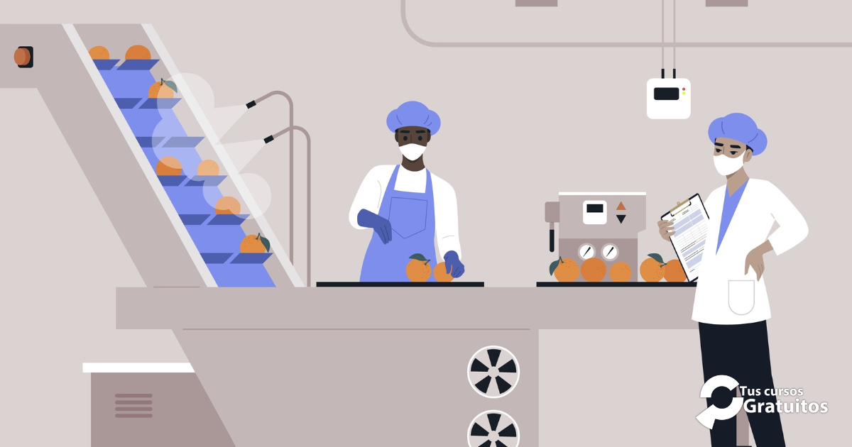 Defoin – 243151 – Operaciones auxiliares de mantenimiento y transporte interno en la industria alimentaria.
