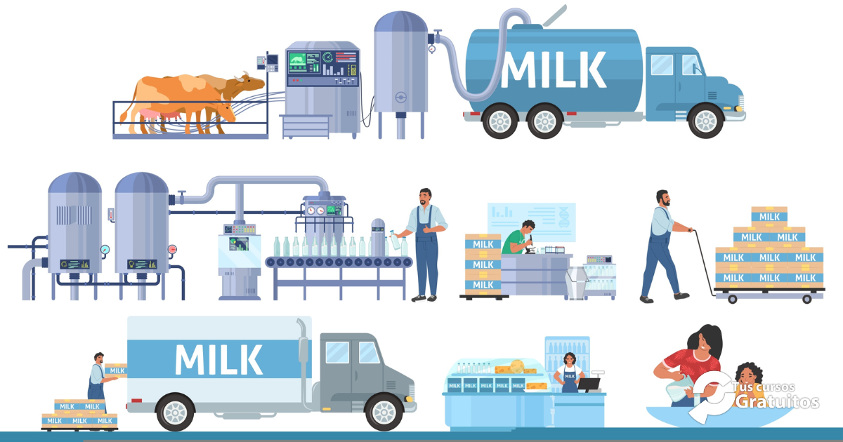 Defoin – 243150 – Operaciones auxiliares de mantenimiento y transporte interno en la industria alimentaria.