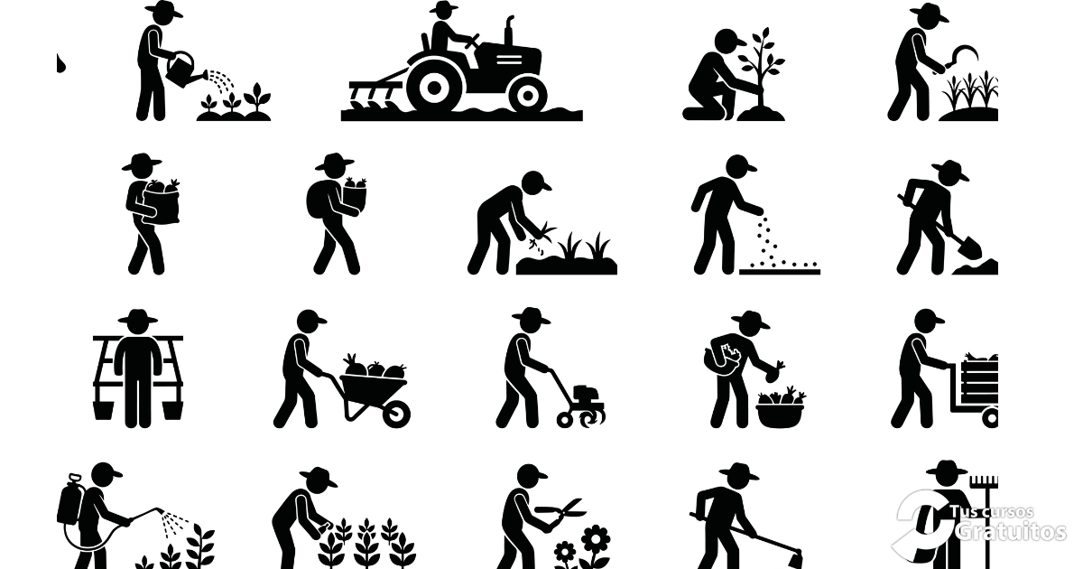 Reat – 260351 – Formación integral para agricultores